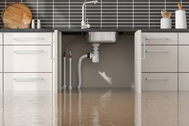 Best Flooded house restoration  in Island Heights, NJ